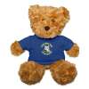<p>12" Polyester Teddy Bear with Disgruntled Tabby Cat &amp; Wi-Fi Laptop Design</p>
